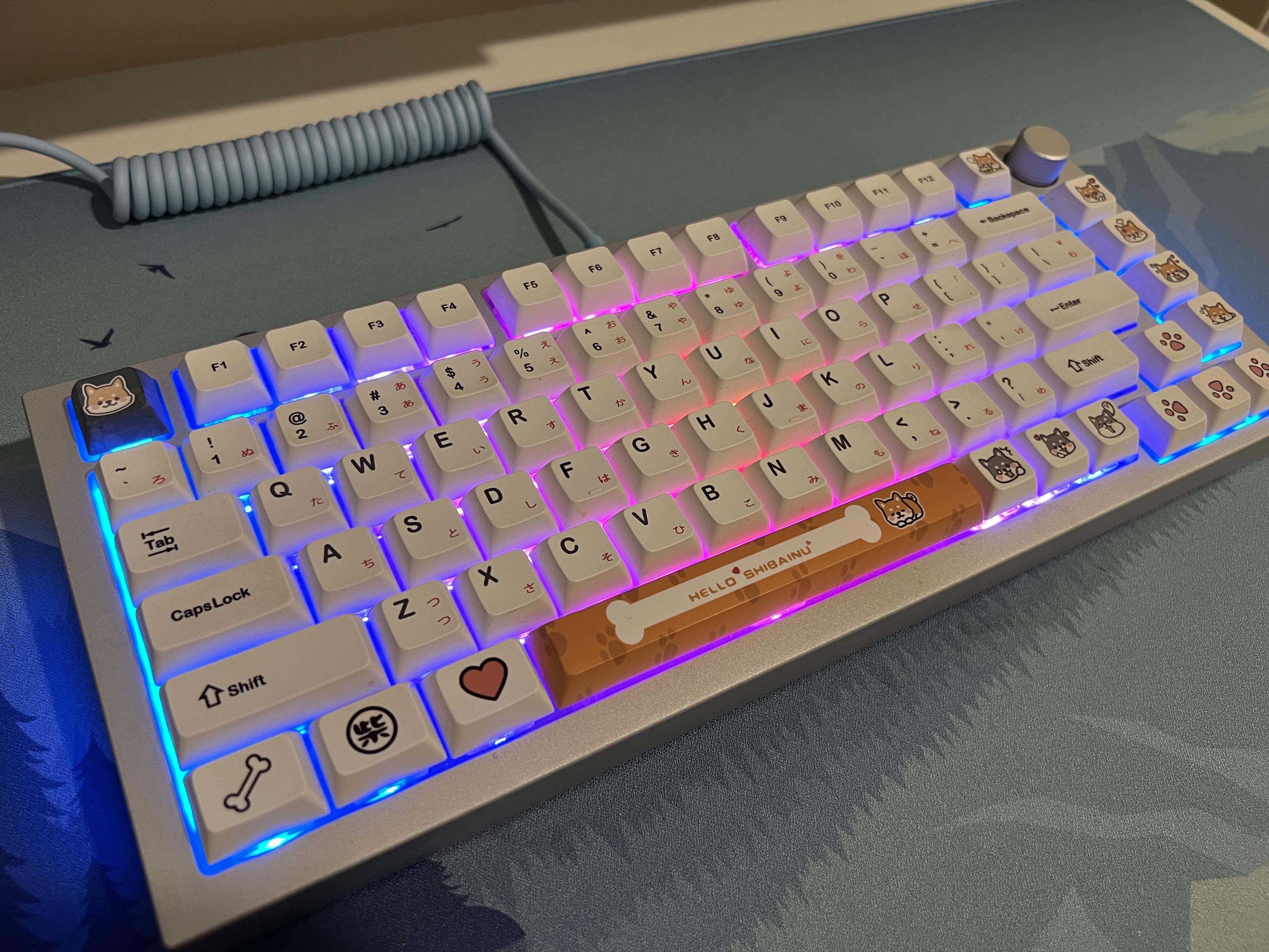 Custom Mechanical Keyboard